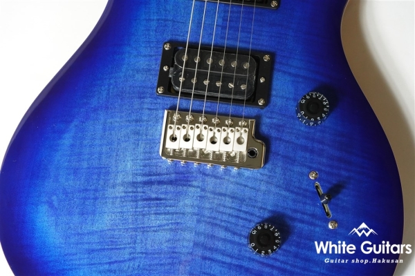 SE Custom 24 - Faded Blue Burst